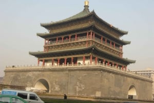 Xi'an: Entrada nos Guerreiros de Terra-Cota com guia opcional