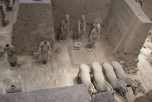 Xi'an: Entrada nos Guerreiros de Terra-Cota com guia opcional