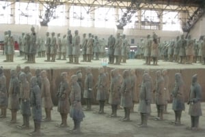 Xi'an: Terra-Cotta Warriors Wejście z opcjonalnym przewodnikiem