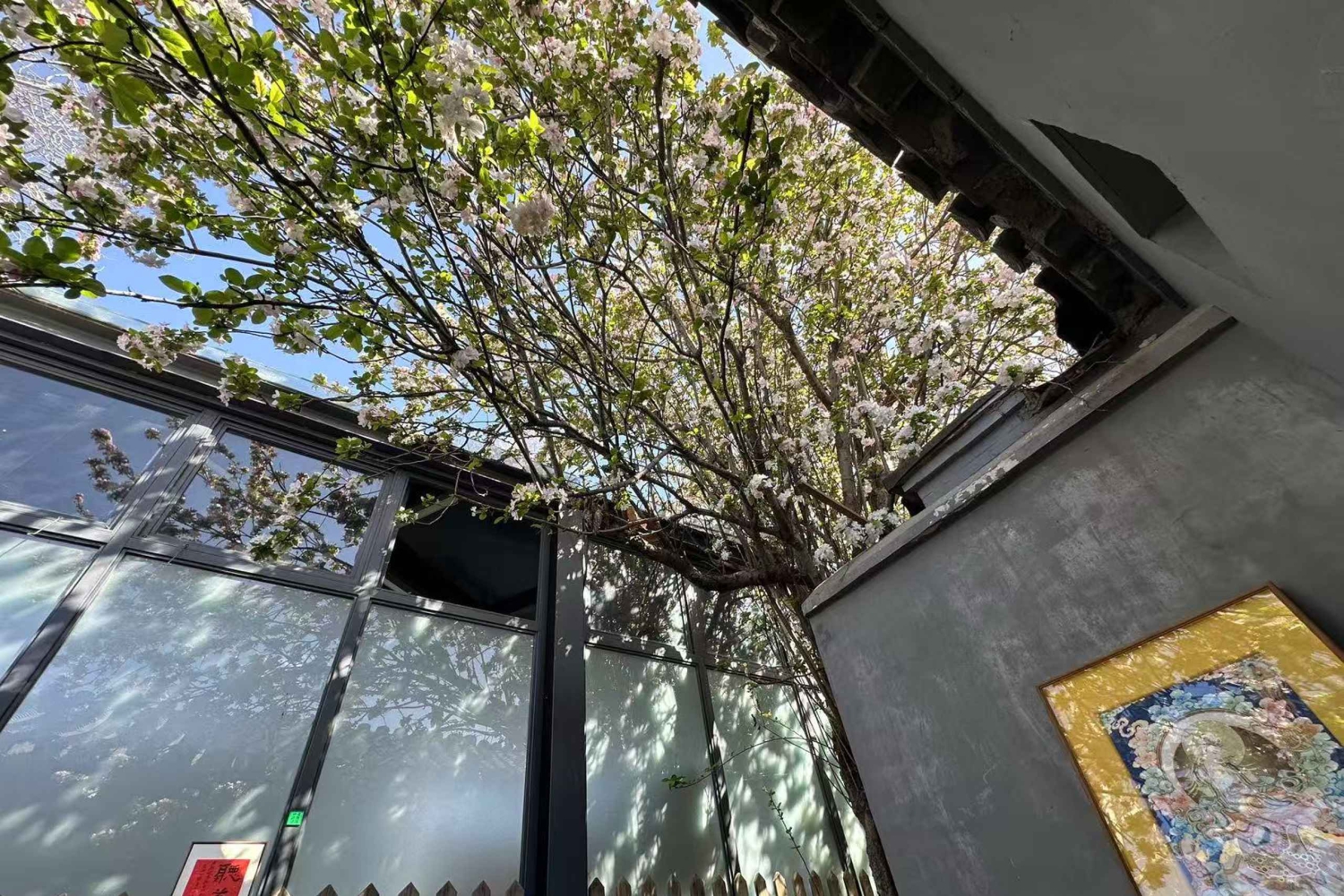 Zen Beijing: begeleide meditatie, thee en wandeling door de hutongcultuur