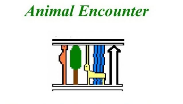 Animal Encounter
