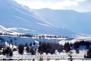 Beirut: tour privado a los Cedros de Dios, Ehden y el lago con almuerzo