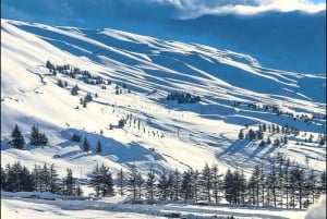 Beirut: tour privado a los Cedros de Dios, Ehden y el lago con almuerzo