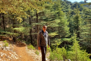 Cedars Shouf & Beiteddine w/pick-up, guide, entries+lunch