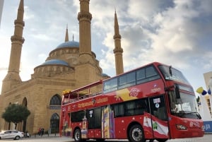  City Sightseeing Hop-on Hop-off Bus Tour