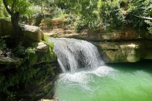 Vanuit Beiroet: dagvullende tour in een privégroep naar AL CHOUF