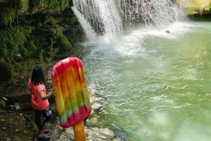 Vanuit Beiroet: dagvullende tour in een privégroep naar AL CHOUF