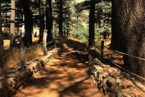 From Beirut: Guided Qadisha Valley, Museum, and Cedars Tour