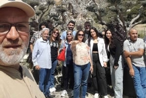 Desde Beirut: tour privado de un día a las cuevas de Jeita, Harissa y Biblos
