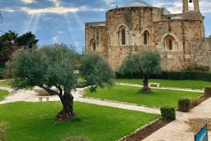 Desde Beirut: tour privado de un día a las cuevas de Jeita, Harissa y Biblos