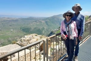 Desde Beirut: tour privado de un día a las cuevas de Jeita, Harissa y Biblos