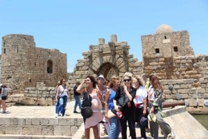 Dziedzictwo Sidon & Tyre Unesco z odbiorem, przewodnikiem, wejściami i lunchem