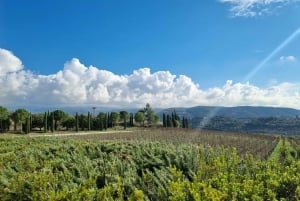 Libanonin viinitilojen opastettu kierros maistiaisilla ja lounaalla