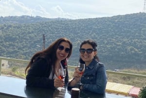 Guidad tur till libanesiska vingårdar med provsmakningar och lunch