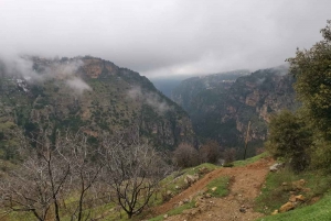 Von Beirut aus: Geführter Tagesausflug zum Wandern im Qadisha-Tal