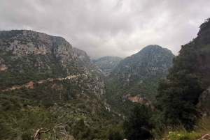 Depuis Beyrouth : excursion guidée d'une journée dans la vallée de la Qadisha