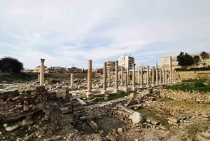 De Beirute: viagem de um dia a Sidon, Tyre e Maghdoucheh