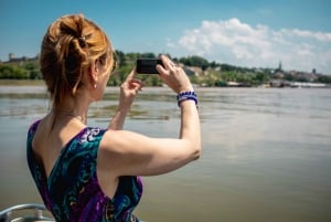 Beograd: Sightseeing-båtcruise med drikkevarer