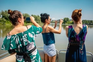 Belgrad: Sightseeing-Bootsfahrt mit Getränken