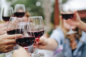 Belgrado: Tour a pie de 3 horas con cata de vinos locales
