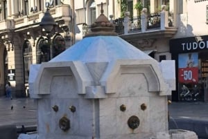 Belgrado boven het water: historische wandeltour door de stad