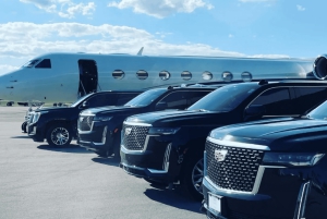 Belgrad: Flughafentransfer zu einem Ort in der Stadt