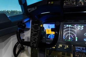 Belgrad: Boeing 737 Flugsimulator & Flugzeugbeobachtung