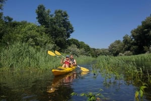 Belgrade: Great War Island Kayak Adventure