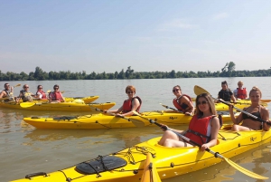 Belgrade: Great War Island Kayak Adventure