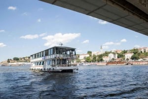 Belgrado: Crociera turistica guidata sui fiumi Danubio e Sava