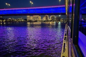 Belgrado: Crociera turistica guidata sui fiumi Danubio e Sava