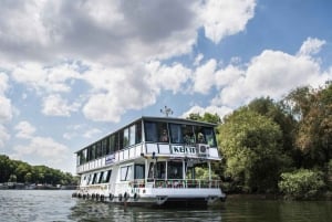 Belgrado: Crociera turistica guidata sui fiumi Danubio e Sava