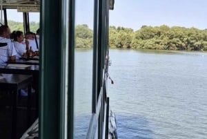 Belgrado: Crociera turistica guidata sui fiumi Danubio e Sava