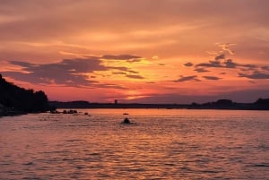 Belgrado: Crociera turistica guidata sui fiumi Danubio e Sava