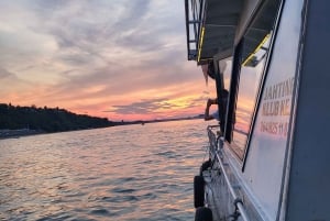 Belgrado: Crociera turistica guidata sui fiumi Danubio e Sava