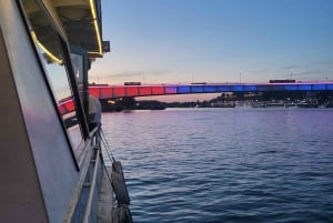 Belgrado: Crociera turistica guidata sui fiumi Danubio e Sava