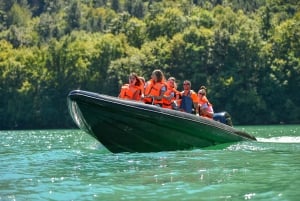 Belgrade : Aventure en bateau à grande vitesse