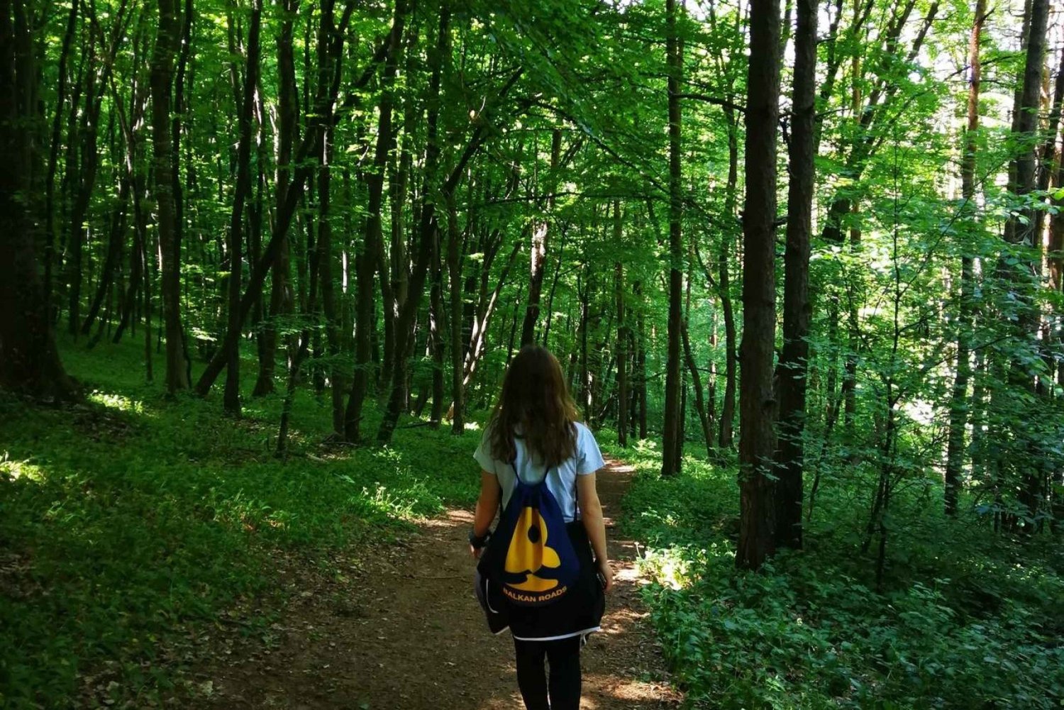 Belgrade: Kosutnjak forest hiking tour