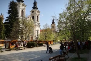 Belgrade: Novi Sad, Sremski Karlovci, and Sirmium Tour