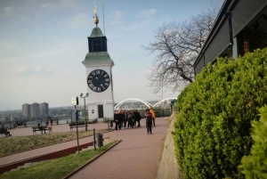 Belgrade: Novi Sad, Sremski Karlovci, and Sirmium Tour