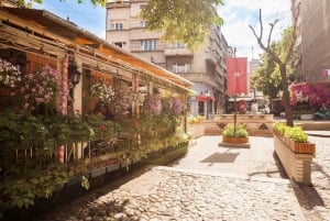 Belgrade: Private City Highlights Guided Walking Tour