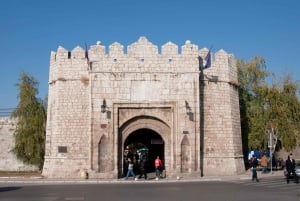Belgrade: Private Day-Trip to Niš