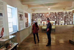 Belgrade: Private Day-Trip to Niš