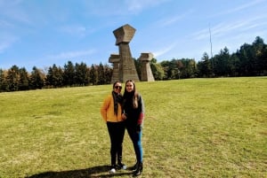 Belgrade: Private Day-Trip to Niš