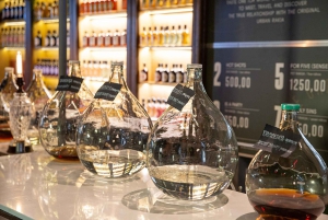 Belgrado: esperienza di degustazione di rakija con un esperto locale