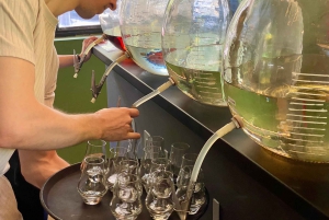 Belgrado: esperienza di degustazione di rakija con un esperto locale