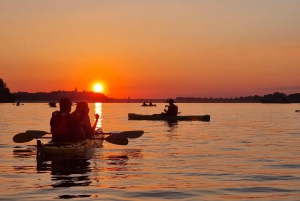Belgrado: Excursión en kayak al atardecer