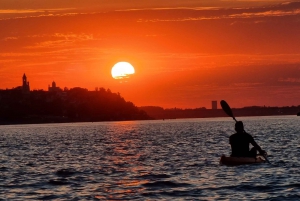 Belgrad: Kajakpaddling i solnedgången