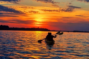 Belgrade : Excursion en kayak au coucher du soleil