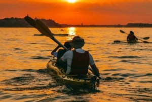 Belgrade: Sunset Kayak Tour